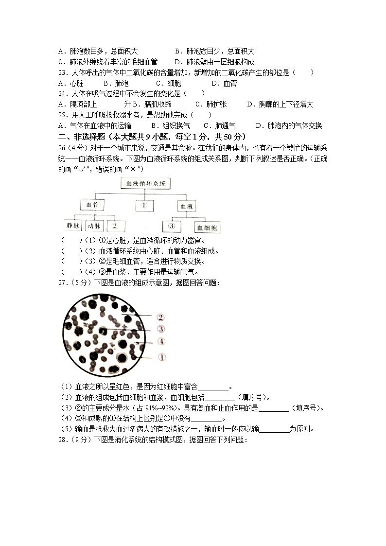 福建省莆田市涵江区2022-2023学年七年级下学期期中生物试题(无答案)03