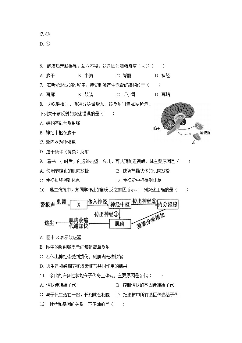 2022-2023学年江苏省泰州市兴化市八年级（上）期末生物试卷（含解析）第2页