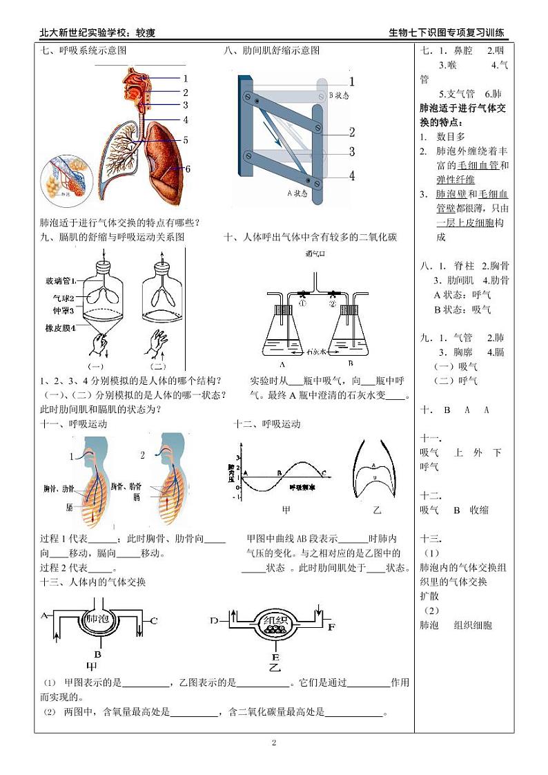 生物七（下）识图专项复习训练第2页