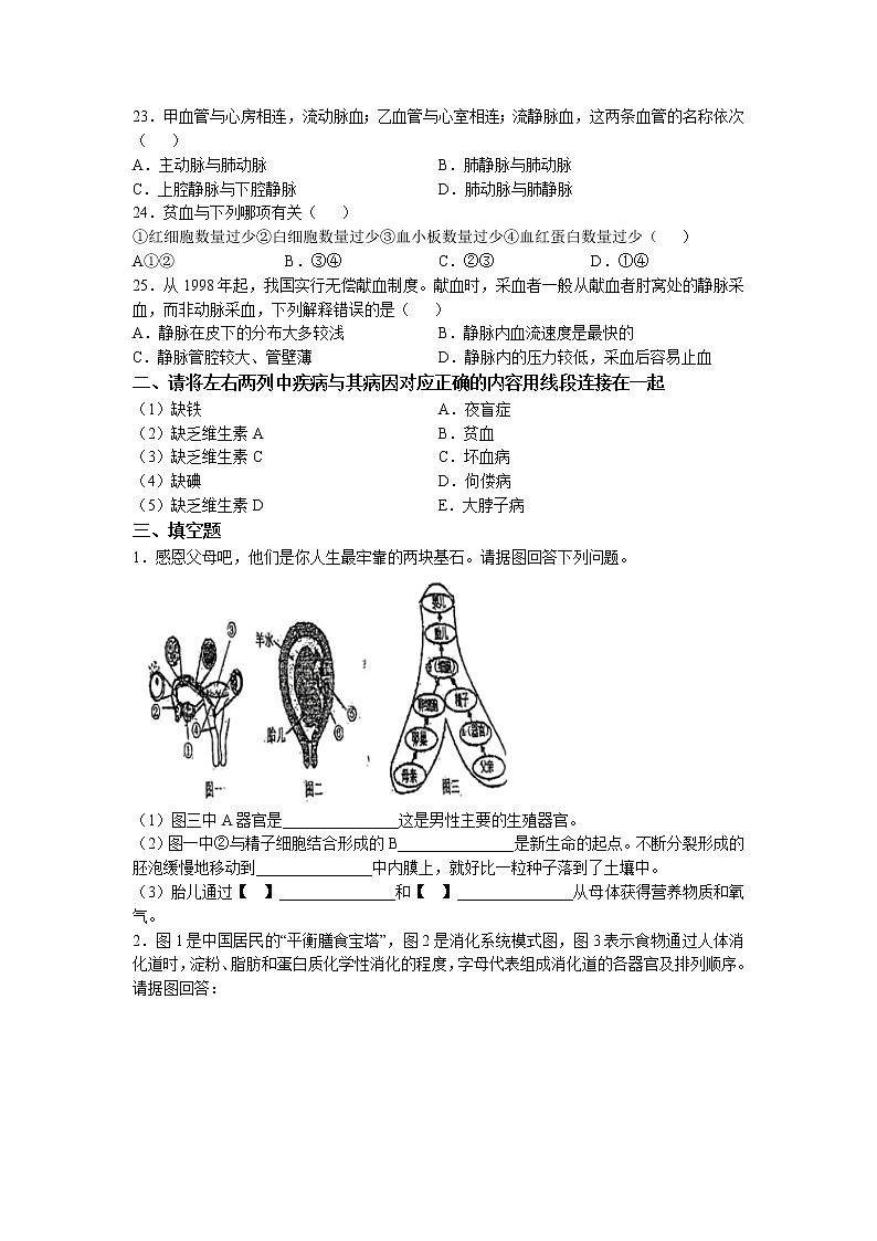 安徽省马鞍山市第七中学2022-2023学年七年级下学期期中生物试题03