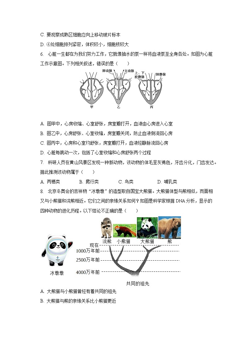 2023年山东省聊城市临清市中考生物一模试卷（含解析）02