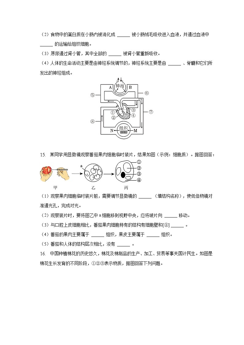 2023年辽宁省锦州三中中考生物一模试卷（含解析）03