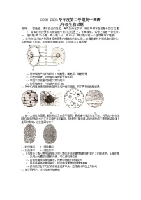 江苏省徐州市邳州市2022-2023学年七年级下学期期中生物试题