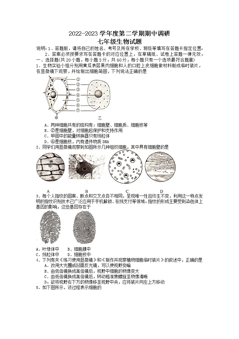 江苏省徐州市邳州市2022-2023学年七年级下学期期中生物试题01