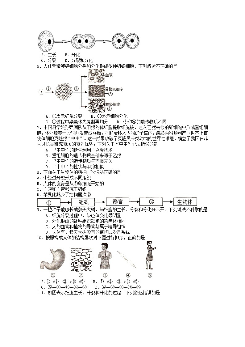 江苏省徐州市邳州市2022-2023学年七年级下学期期中生物试题02