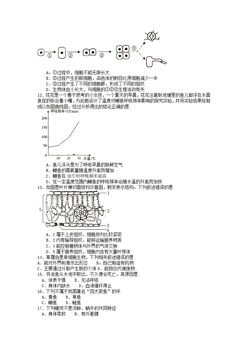 江苏省徐州市邳州市2022-2023学年七年级下学期期中生物试题03