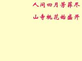 开花和结果PPT课件  人教版初中生物课件ppt