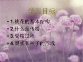 开花和结果PPT课件  人教版初中生物课件ppt