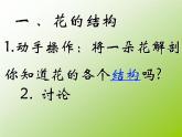 开花和结果PPT课件  人教版初中生物课件ppt