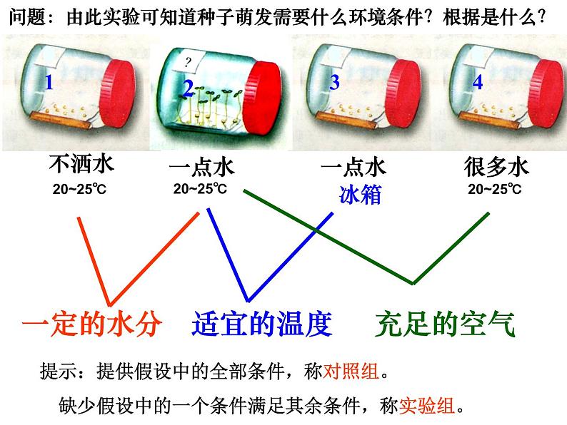 种子的萌发使用课件  人教版初中生物课件ppt07