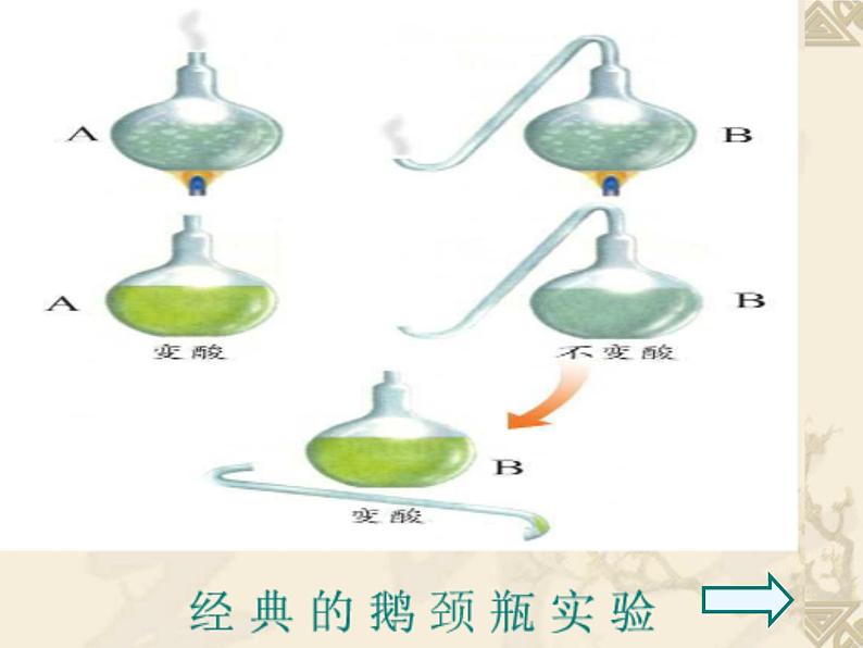 6.1.1细菌  人教版初中生物课件ppt第5页