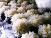 讲课真菌  人教版初中生物课件ppt
