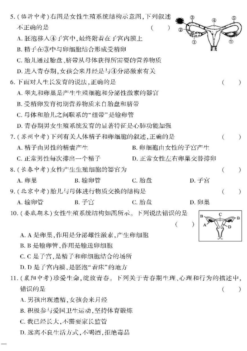 （2023春）苏教版生物初中七年级下册-黄冈360°定制密卷_第八章测试题02