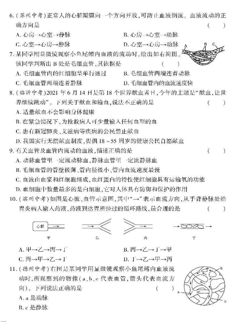（2023春）苏教版生物初中七年级下册-黄冈360°定制密卷_第十章测试题（一）02