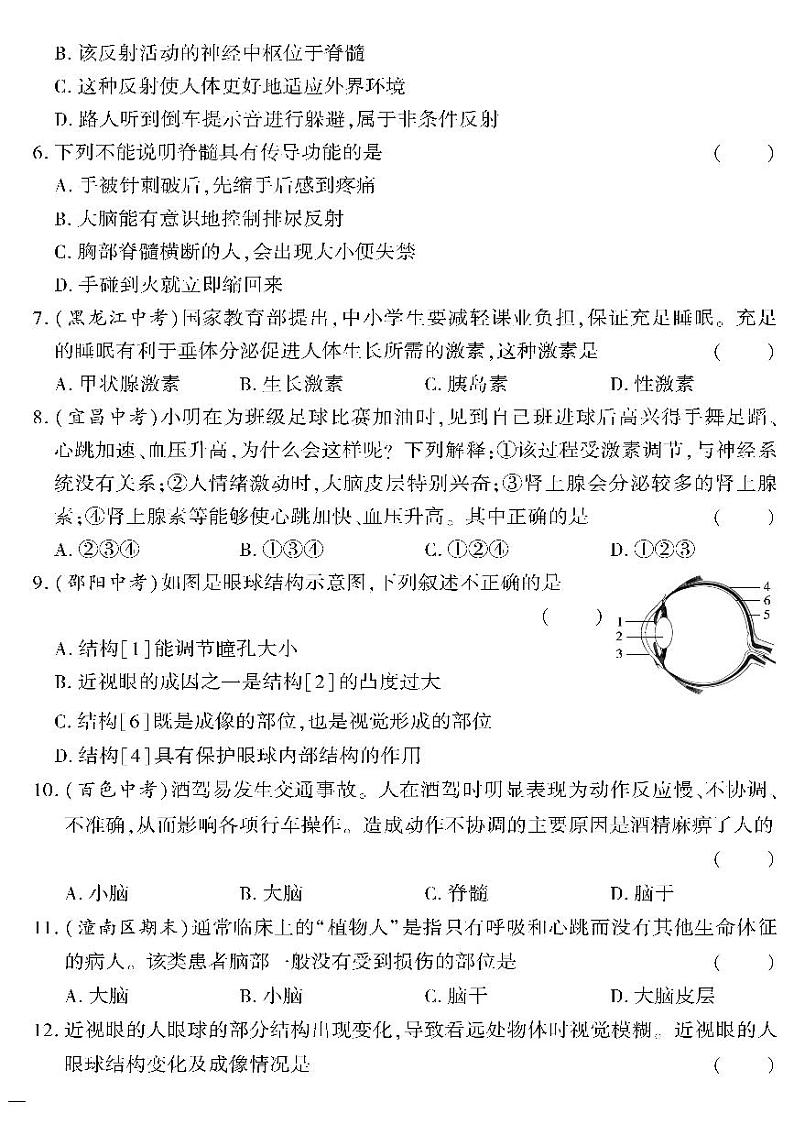 （2023春）苏教版生物初中七年级下册-黄冈360°定制密卷_专题四人体生命活动的调节测试题第2页