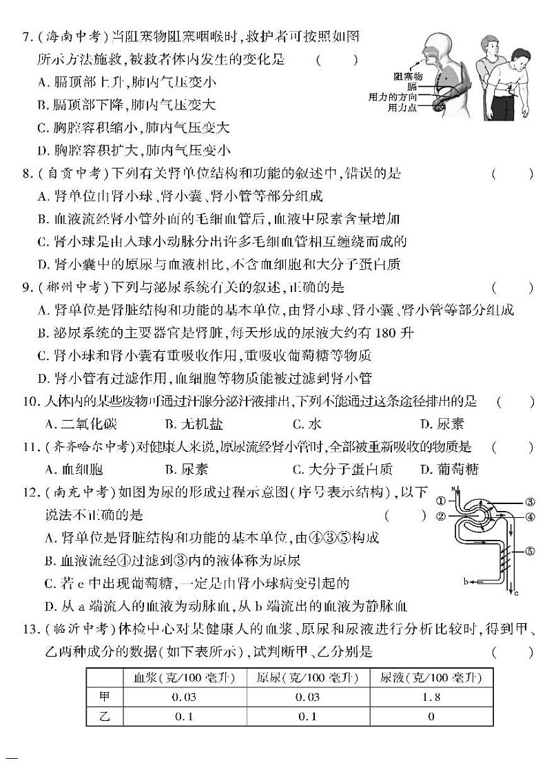 （2023春）苏教版生物初中七年级下册-黄冈360°定制密卷_专题三人体内的能量供给及废物的排出测试题02