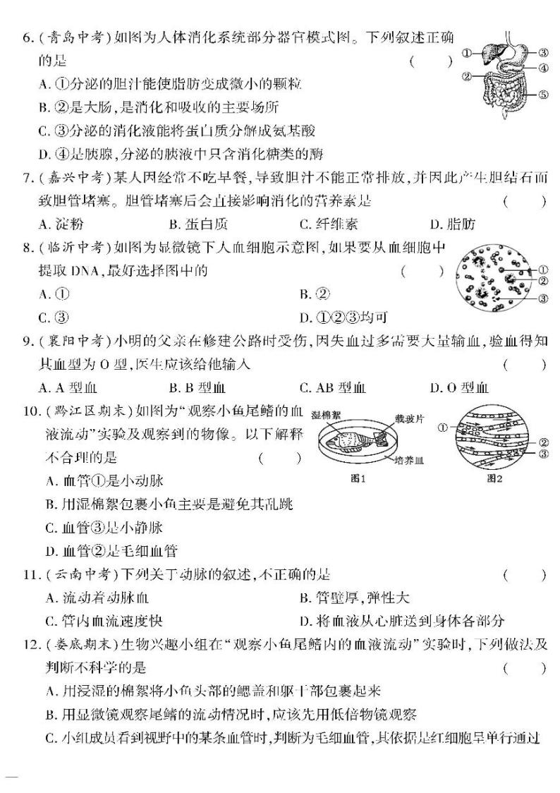 （2023春）苏教版生物初中七年级下册-黄冈360°定制密卷_专题二人体的营养及物质运输测试题02