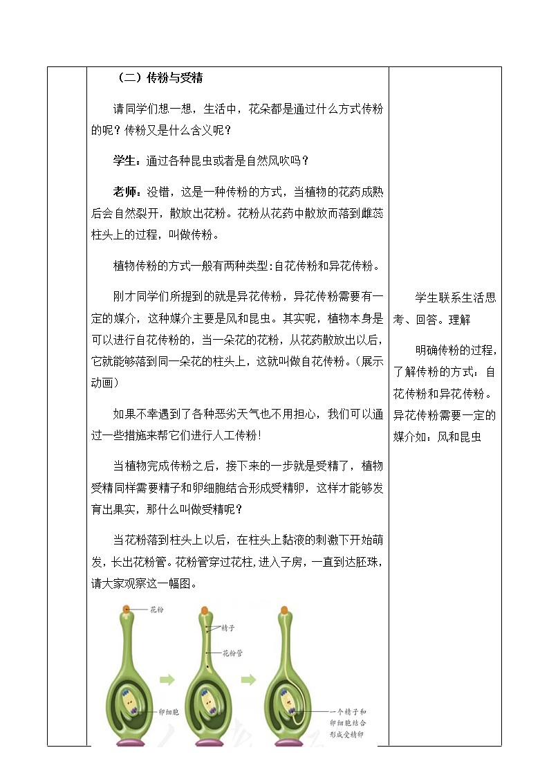 3.2.3  开花和结果 教学设计 2022-2023学年人教版七年级生物上册03