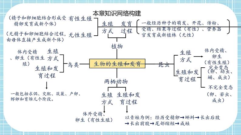 第七单元第1章 生物的生殖和发育（复习课件）——2022-2023学年人教版生物八年级下册单元综合复习02