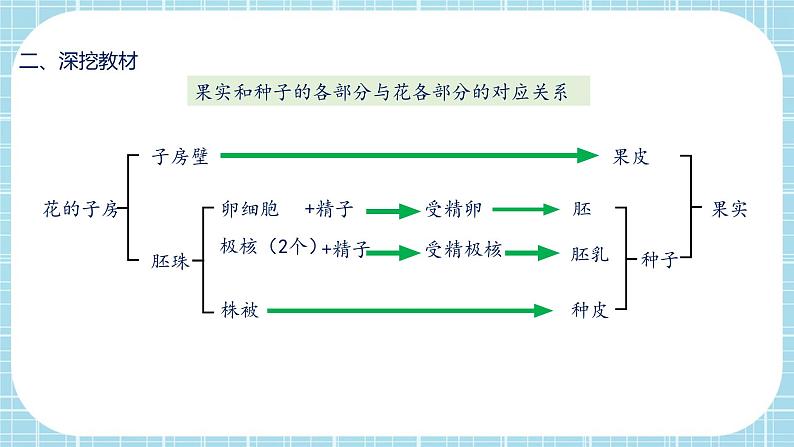 第七单元第1章 生物的生殖和发育（复习课件）——2022-2023学年人教版生物八年级下册单元综合复习06