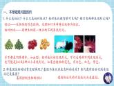 第七单元第2章 生物的遗传与变异（复习课件）- 2022-2023学年人教版生物八年级下册单元综合复习