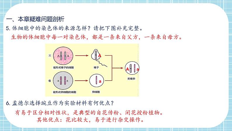 第七单元第2章 生物的遗传与变异（复习课件）- 2022-2023学年人教版生物八年级下册单元综合复习05