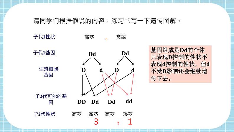 第七单元第2章 生物的遗传与变异（复习课件）- 2022-2023学年人教版生物八年级下册单元综合复习08