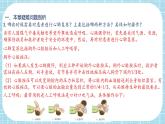 第2章 用药与急救、第3章 了解自己，增进健康（复习课件）——2022-2023学年人教版生物八年级下册单元综合复习