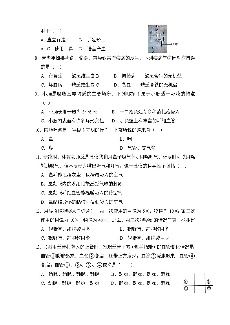 湖南省邵阳市新邵县2022-2023学年七年级下学期期中考试生物试题第2页