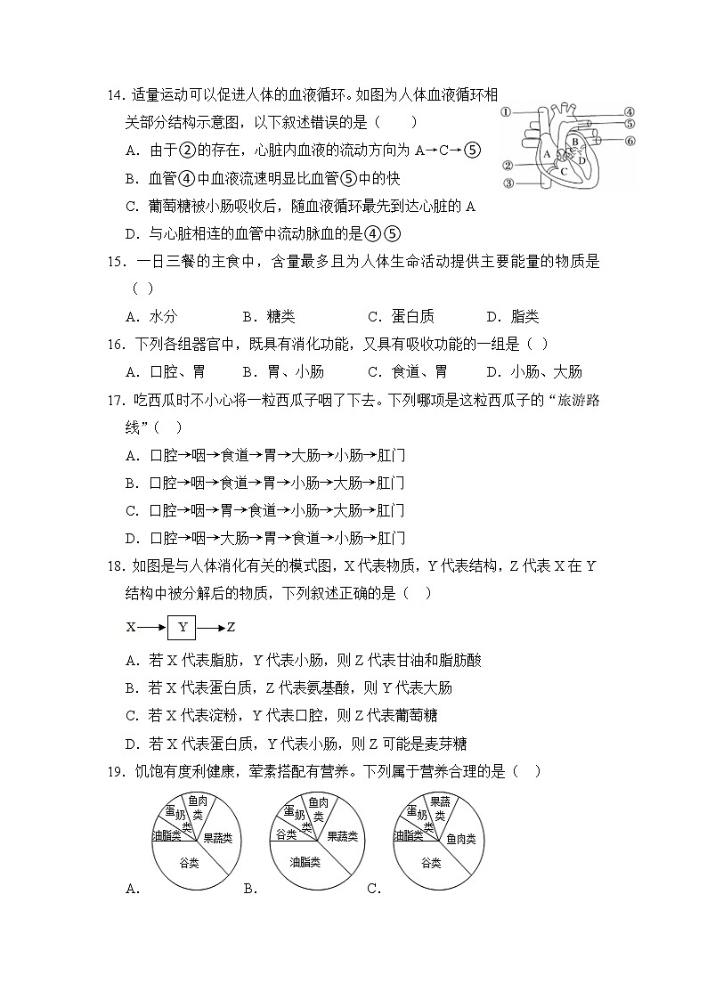 湖南省邵阳市新邵县2022-2023学年七年级下学期期中考试生物试题第3页