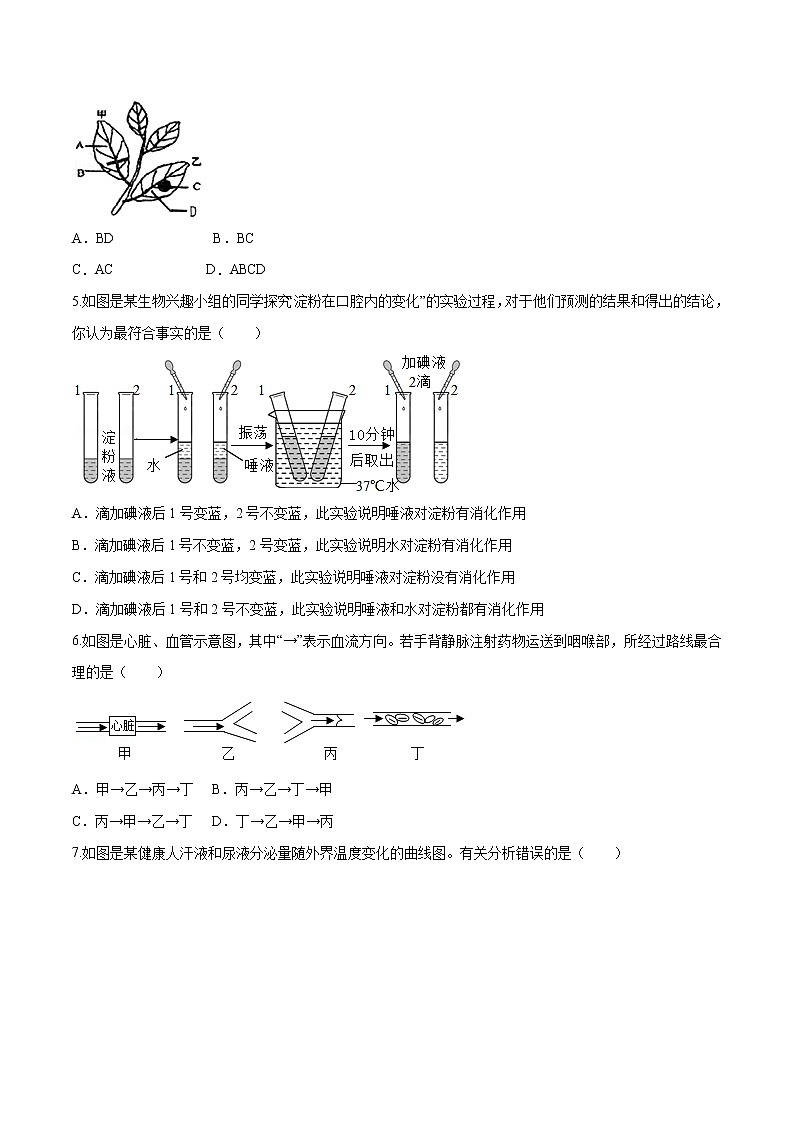 2023年中考第一次模拟考试卷生物（江西卷）（考试版）02