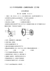 2023年中考第一次模拟考试卷生物（辽宁卷）（考试版）