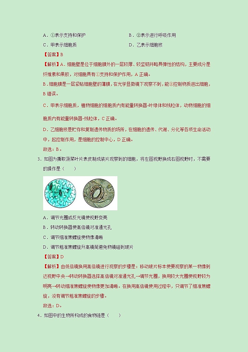 2023年中考第一次模拟考试卷生物（山东烟台卷）（解析版）02