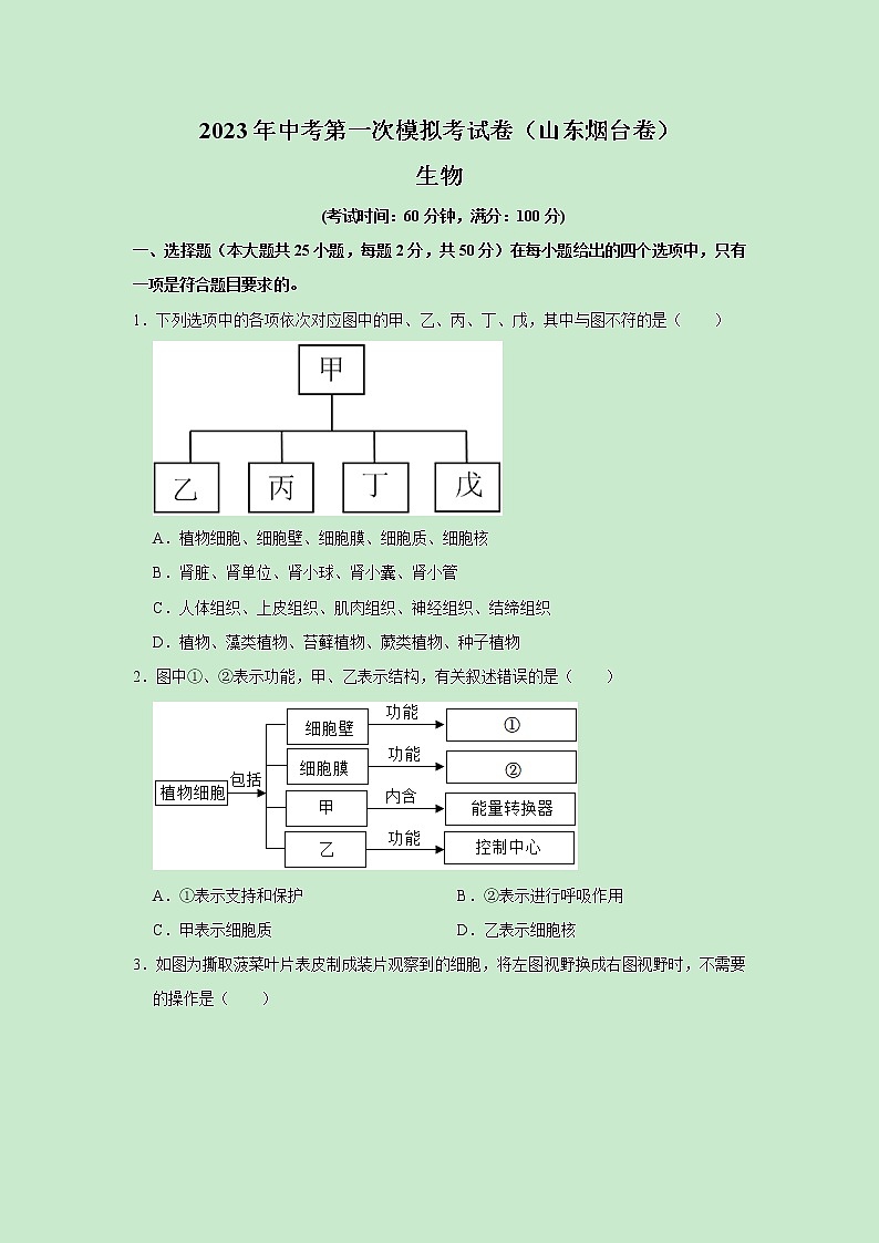 2023年中考第一次模拟考试卷生物（山东烟台卷）（原卷版）01