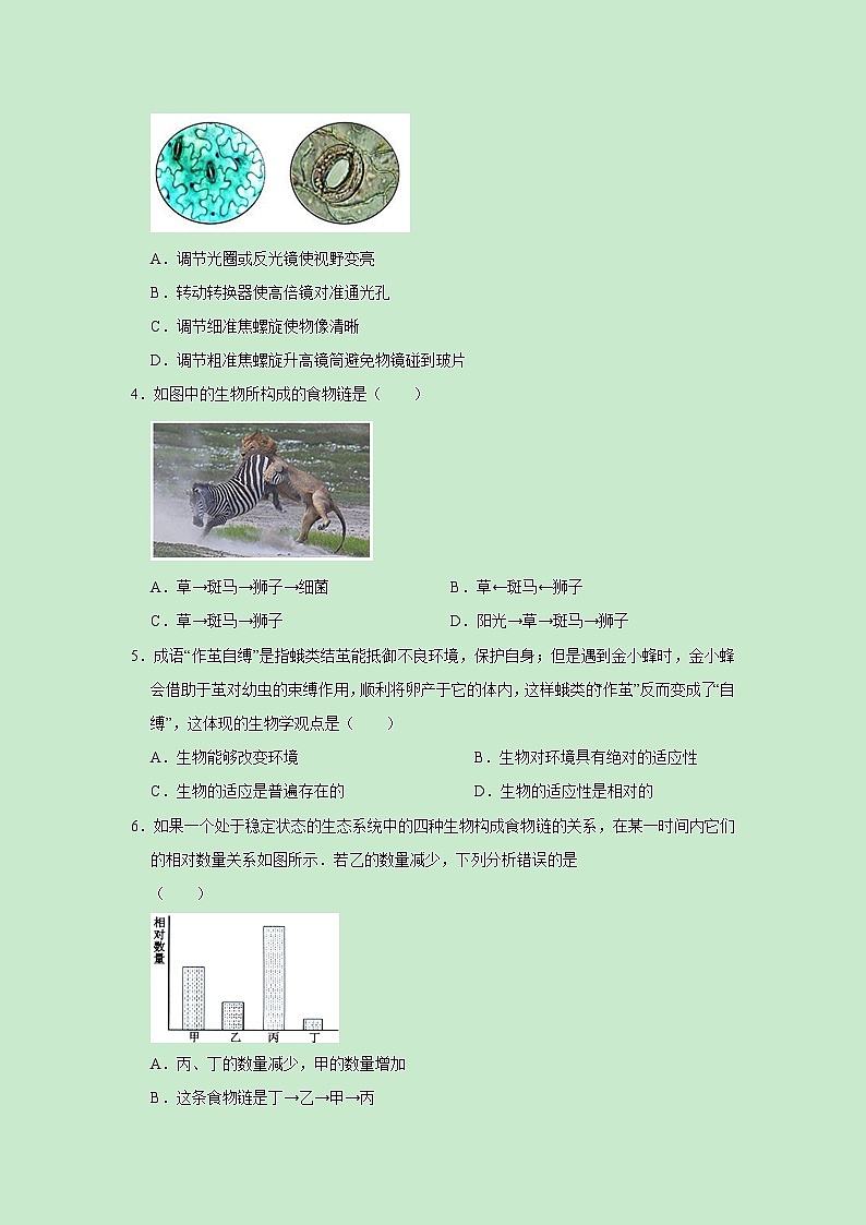 2023年中考第一次模拟考试卷生物（山东烟台卷）（原卷版）02