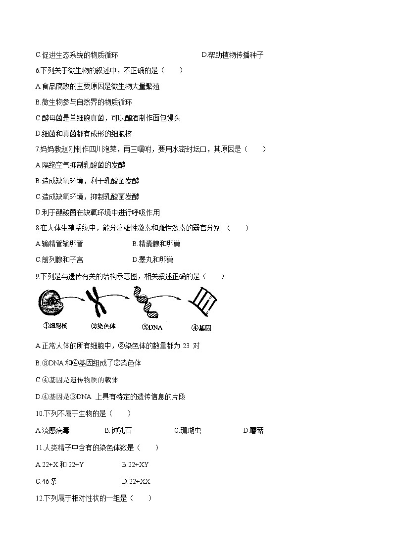 2023年中考第一次模拟考试卷生物（四川成都卷）（考试版）02