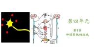 初中生物人教版 (新课标)七年级下册第二节 神经系统的组成获奖教学课件ppt