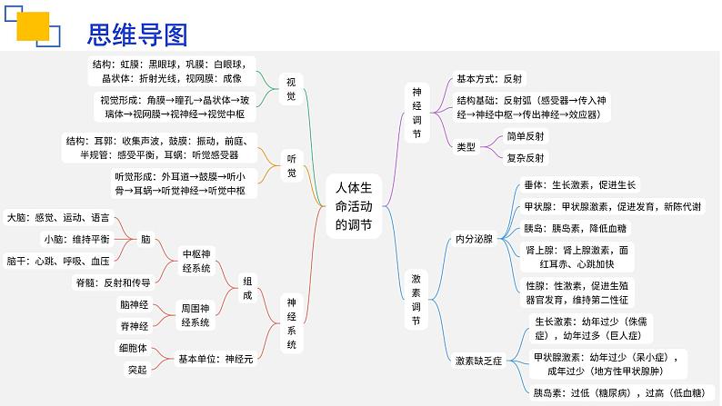 专题14人体生命活动的调节（二）课件PPT03