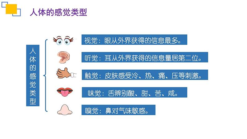 专题14人体生命活动的调节（一）课件PPT04