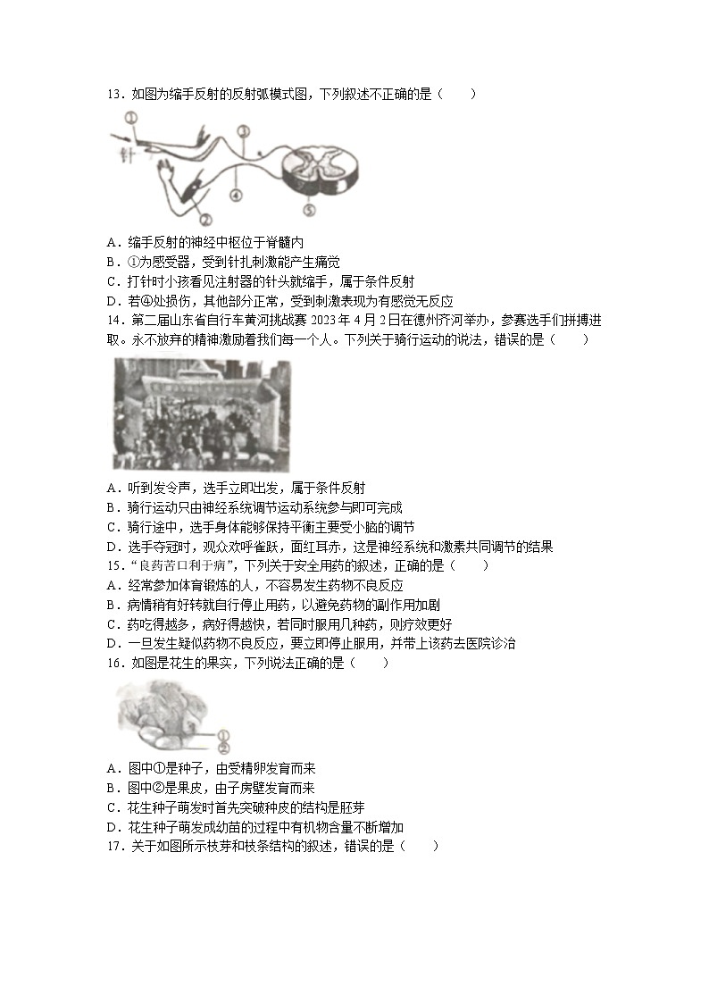 2023山东省齐河县中考一模生物试题(无答案)03
