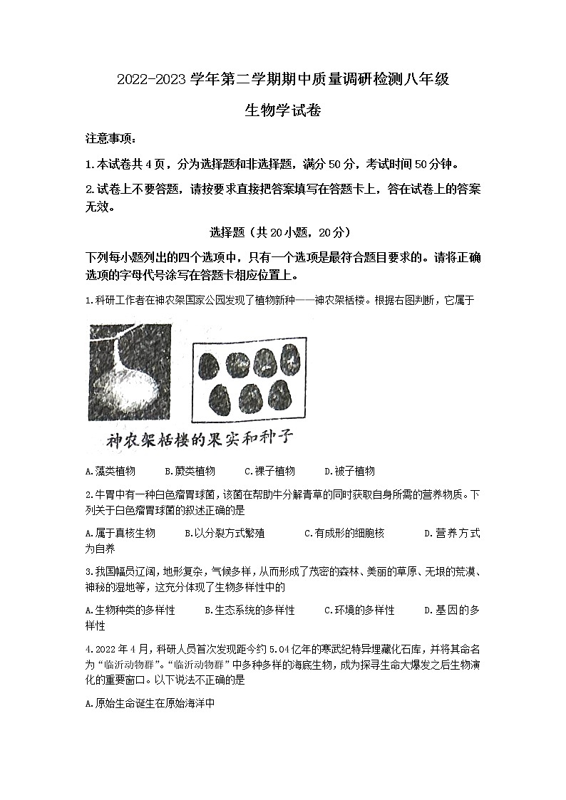 河南省洛阳市伊川县2022-2023学年八年级下学期期中生物试题01