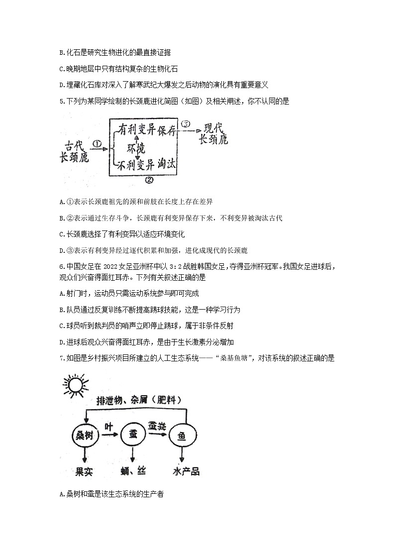 河南省洛阳市伊川县2022-2023学年八年级下学期期中生物试题02