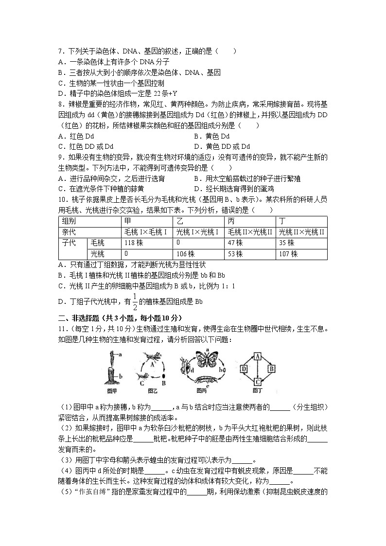 湖北省鄂州市梁子湖区2022-2023学年八年级下学期期中生物试题第2页