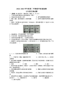 山东省滨州市滨城区2022-2023学年七年级下学期期中生物试题