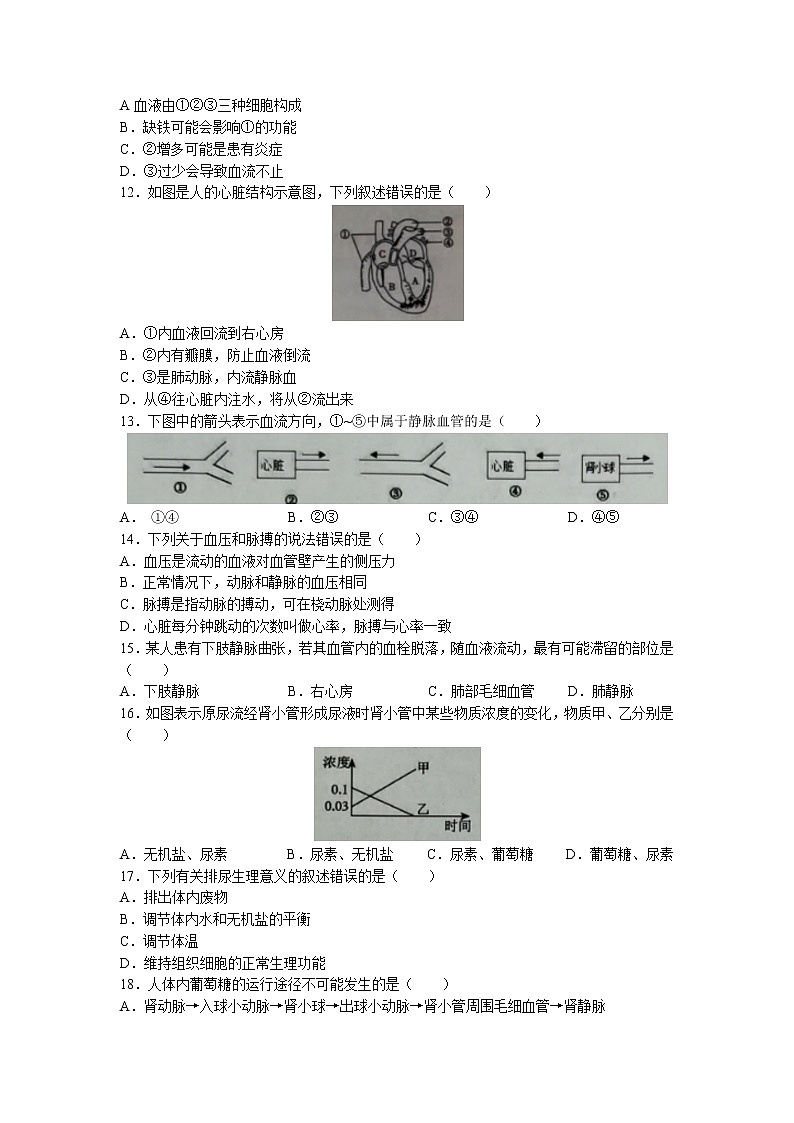 山东省滨州市滨城区2022-2023学年七年级下学期期中生物试题03