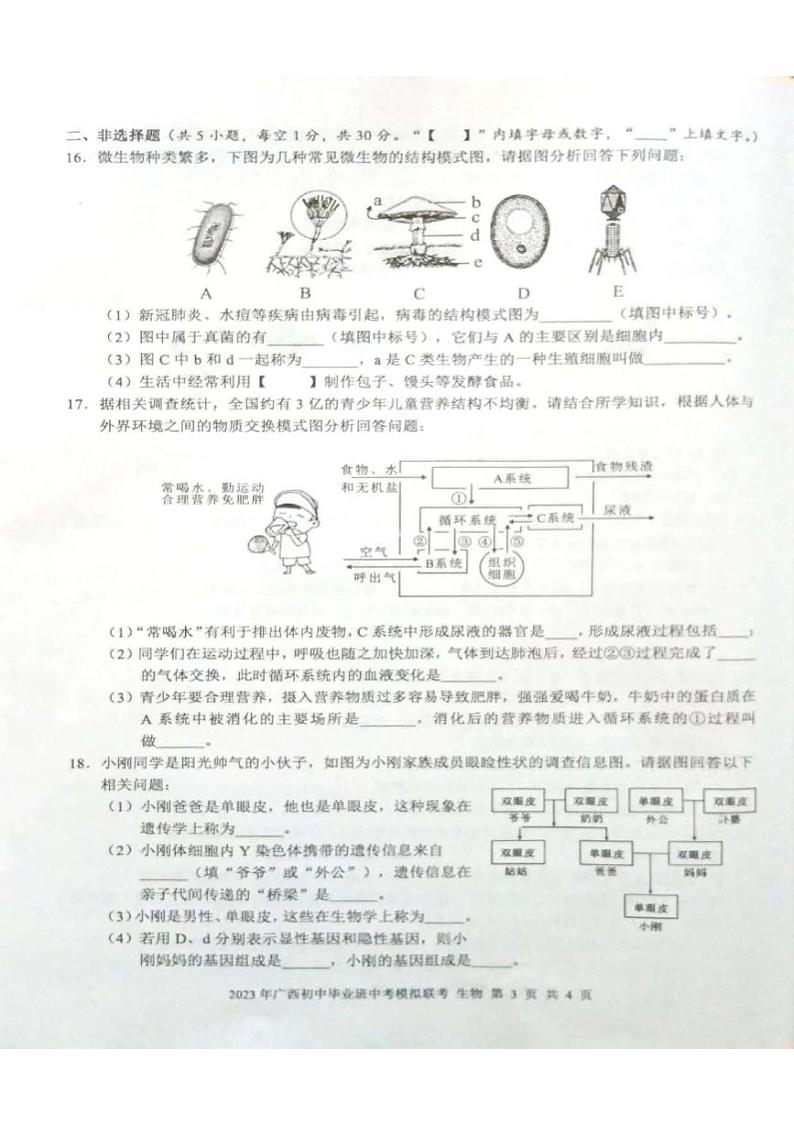 2023年广西初中毕业班中考模拟联考（生物） 试卷03