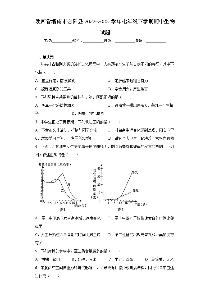 陕西省渭南市合阳县2022-2023学年七年级下学期期中生物试题（含答案）01