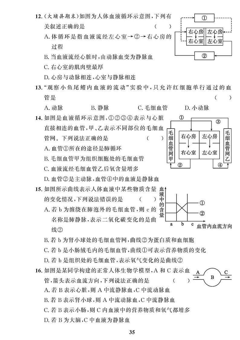 （2023春）济南版生物初中七年级下册-黄冈360°定制课时_期末测试题（一）第3页
