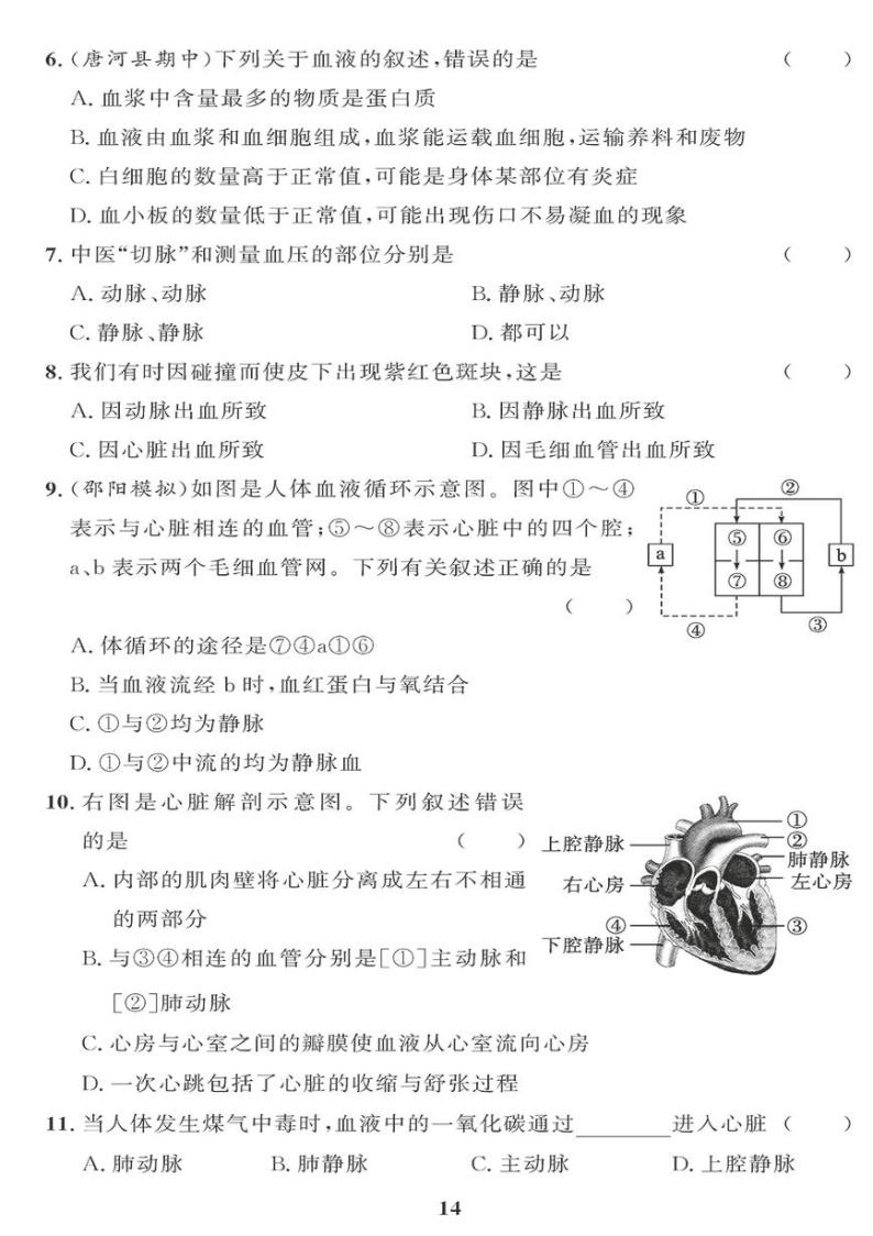 （2023春）人教版生物初中七年级下册-黄冈360°定制课时_第四章检测题02