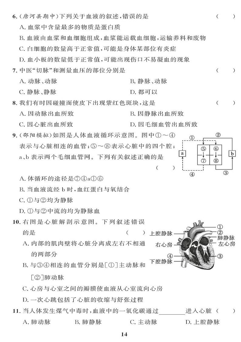 （2023春）人教版生物初中七年级下册-黄冈360°定制课时_第四章检测题02